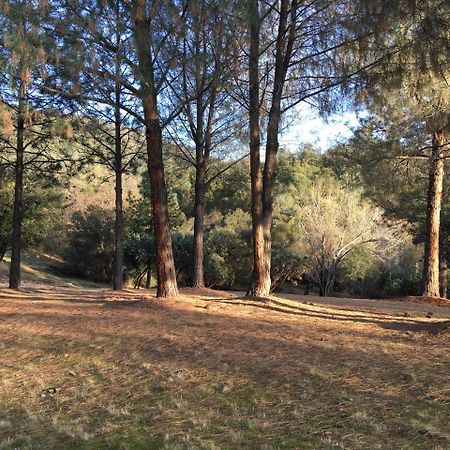 Ponderosa Basin Foxtail Farm Bed & Breakfast מראה חיצוני תמונה