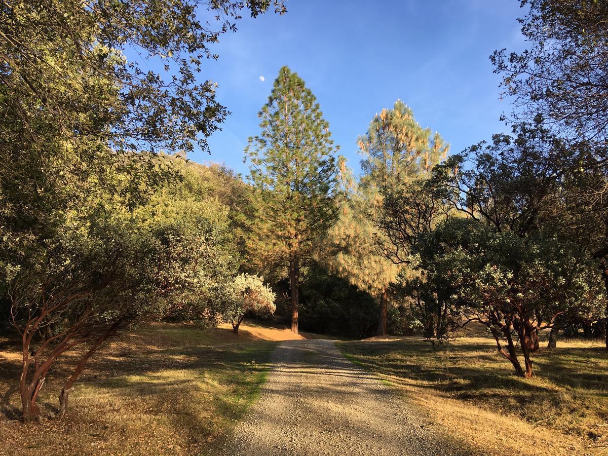 Ponderosa Basin Foxtail Farm Bed & Breakfast מראה חיצוני תמונה